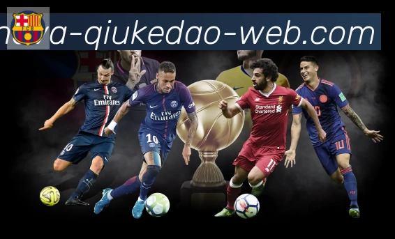 奖项4